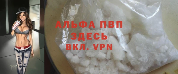 эйфоретик Чекалин
