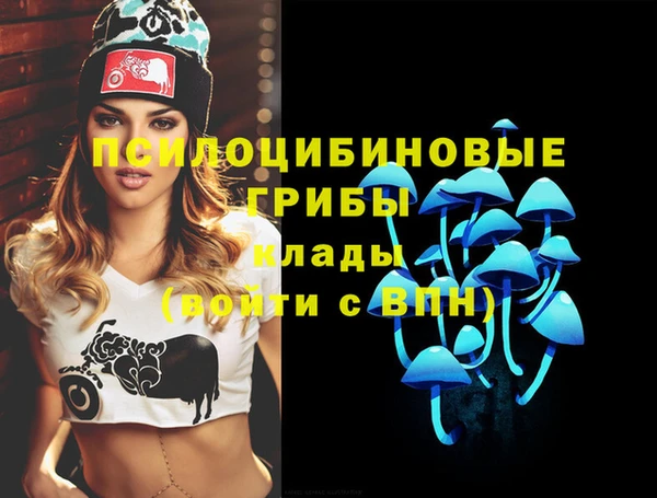 МДПВ Чегем