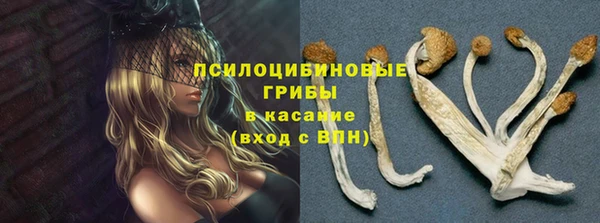 МДПВ Чегем