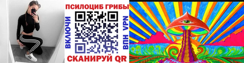 Купить где  Стрежевой  Галлюциногенные грибы GOLDEN TEACHER 